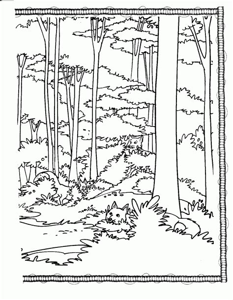 Free Printable Forest Coloring Pages
